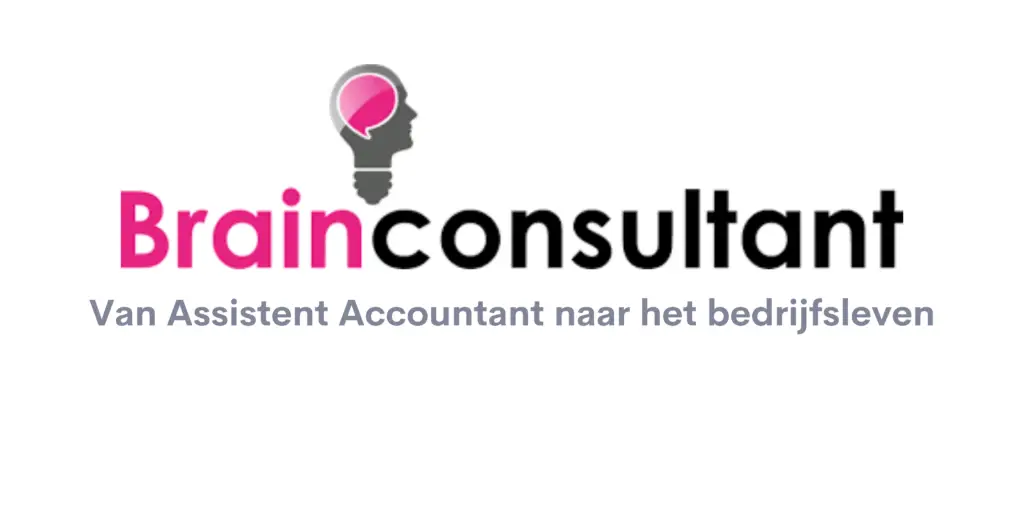 Van Assistent Accountant naar het bedrijfsleven