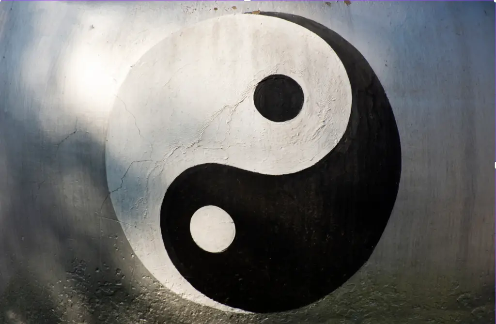 betekenis Yin Yang